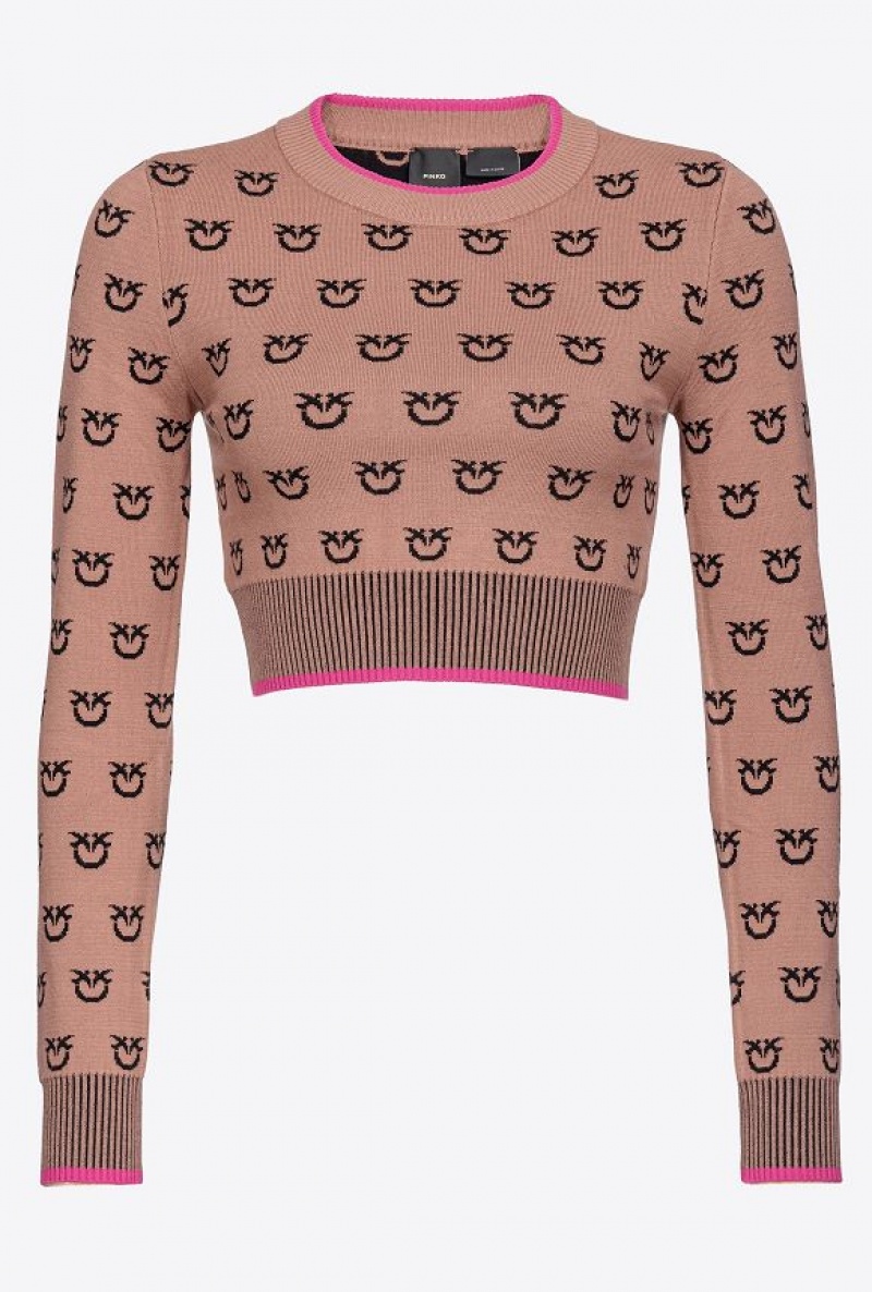 Pinko Cropped Logo Jacquard Svetrové Hnědé Černé | SN-PKO33529