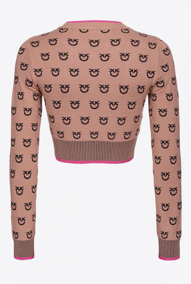 Pinko Cropped Logo Jacquard Svetrové Hnědé Černé | SN-PKO33529
