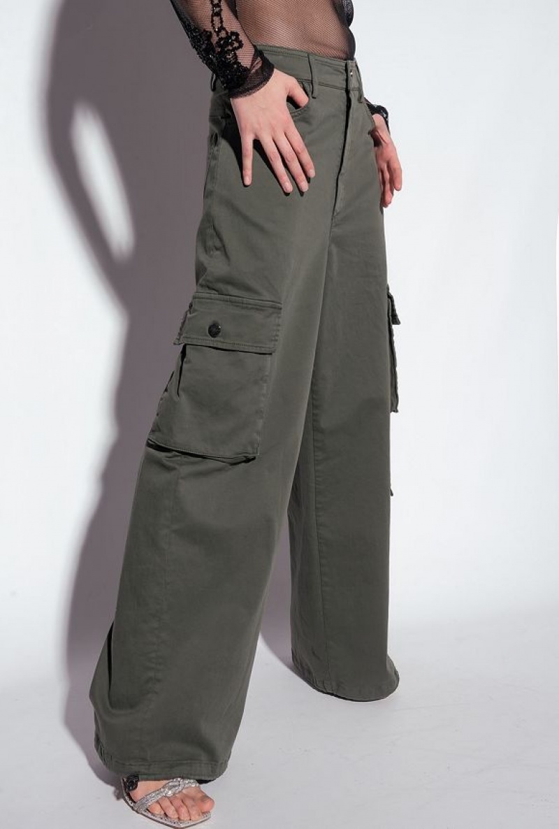 Pinko Oversized Cargo Trousers Šedé Zelene | SN-PKO33692