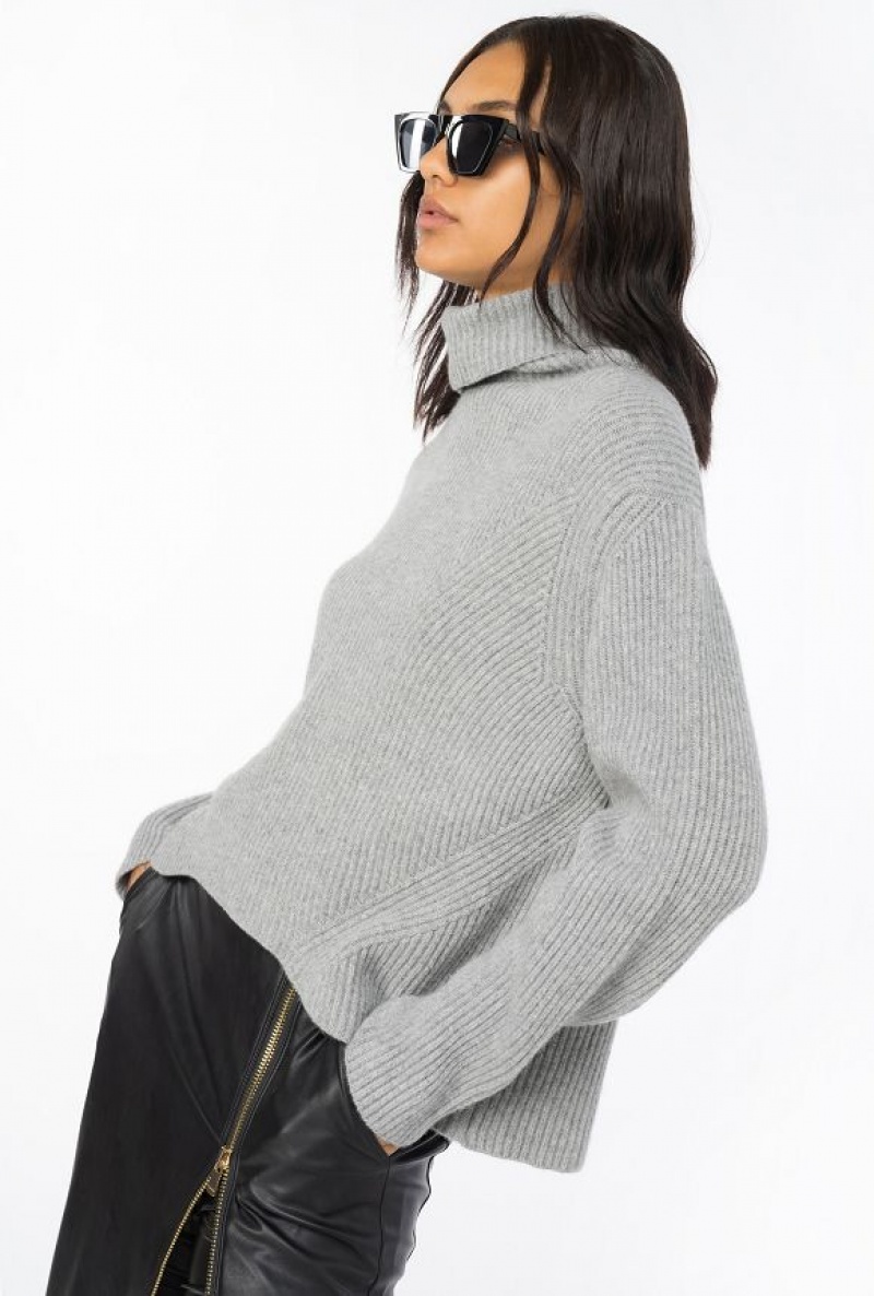 Pinko Žebrovaný Turtleneck Svetrové Šedé Šedé | SN-PKO33504